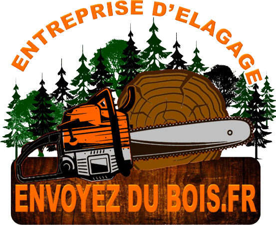 Logo Envoyer Du Bois 1